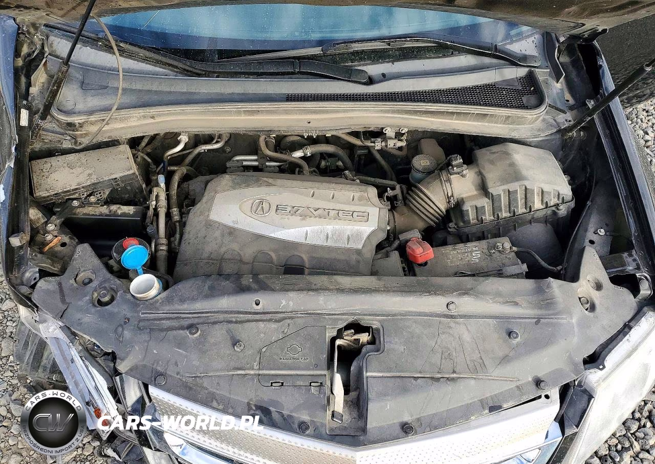 2009 Acura Mdx VIN:2HNYD28299H531905 - 12