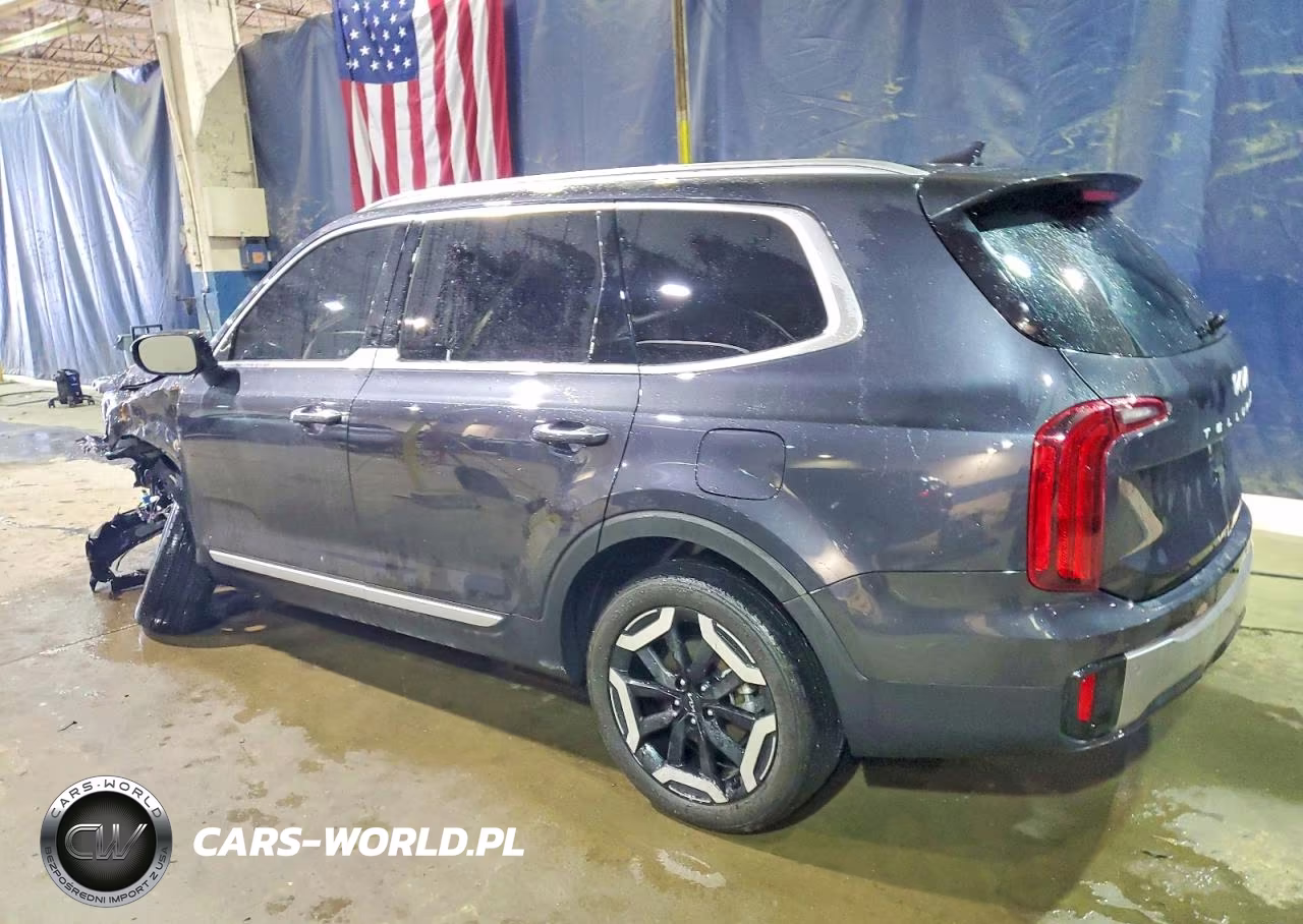 2025 Kia Telluride S VIN:5XYP64GC2SG660896 - 2