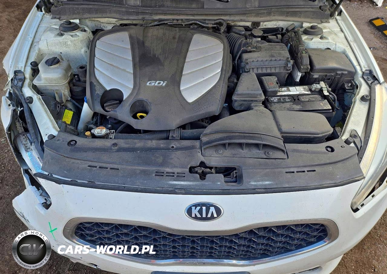 2014 Kia Cadenza Premium VIN:KNALN4D70E5161954 - 11