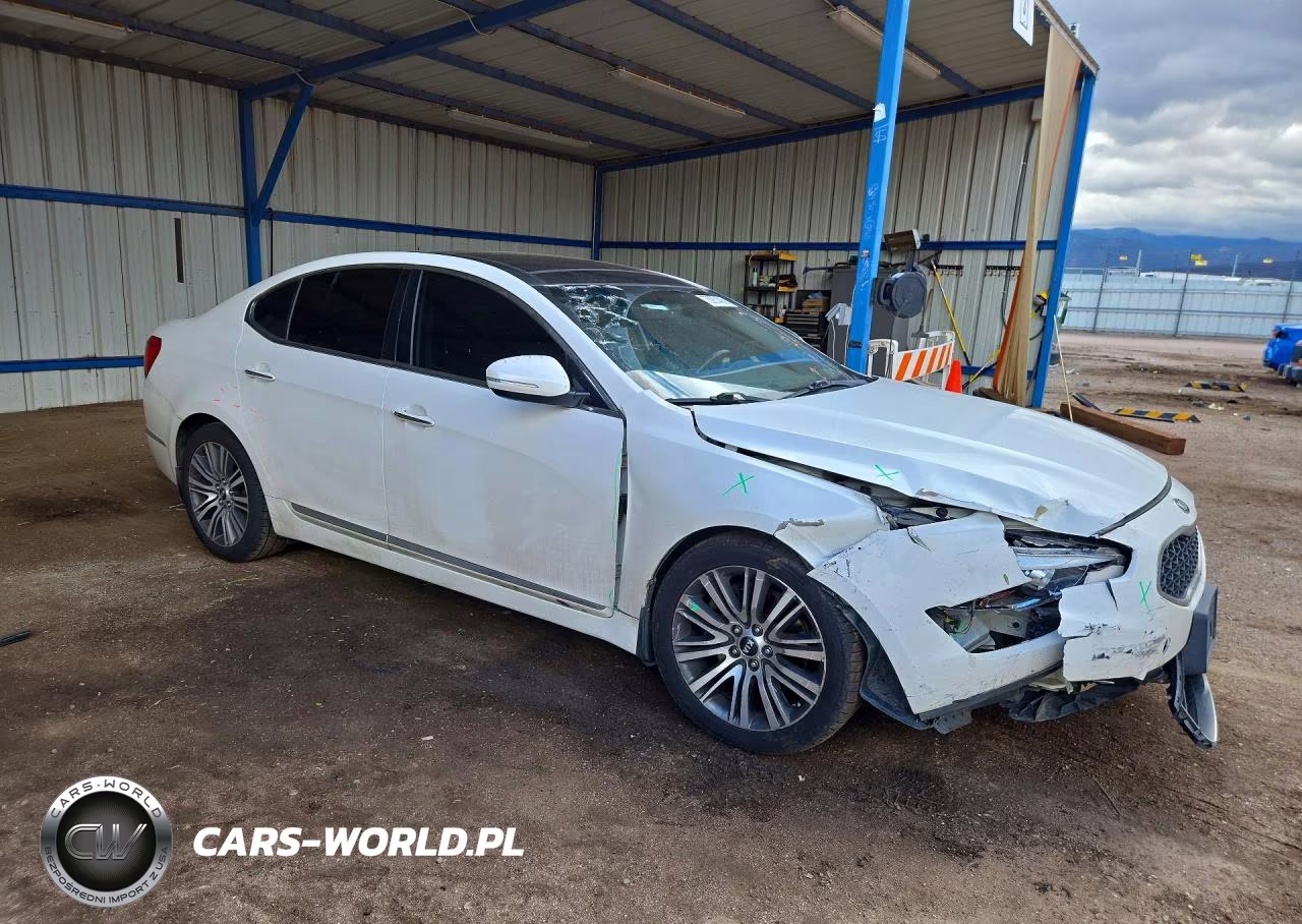 2014 Kia Cadenza Premium VIN:KNALN4D70E5161954 - 4