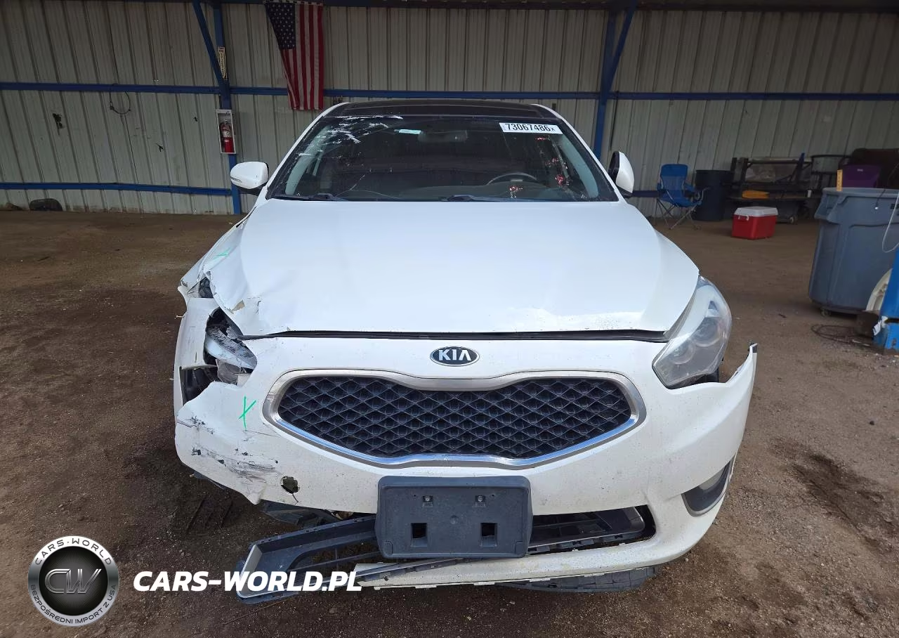 2014 Kia Cadenza Premium VIN:KNALN4D70E5161954 - 5