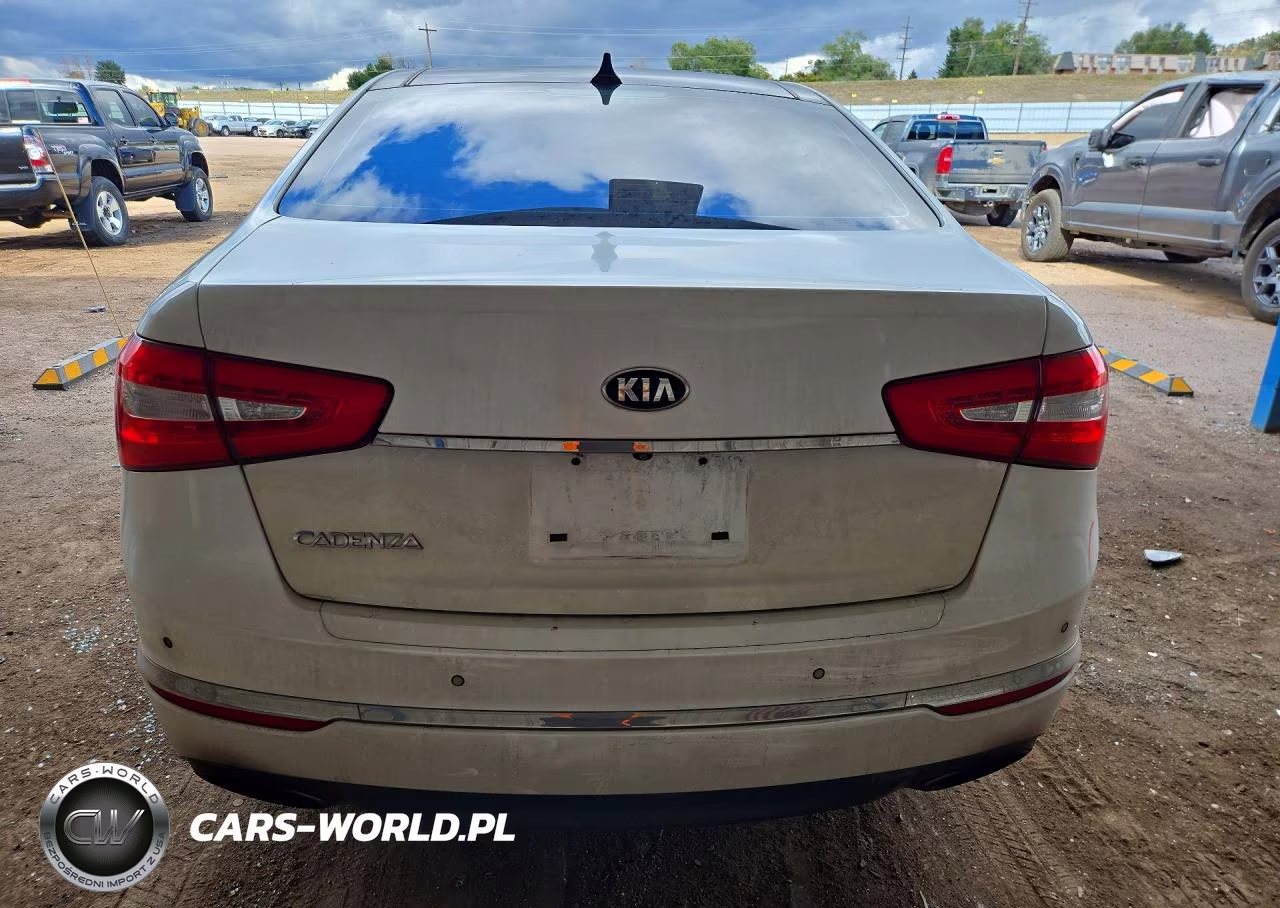 2014 Kia Cadenza Premium VIN:KNALN4D70E5161954 - 6