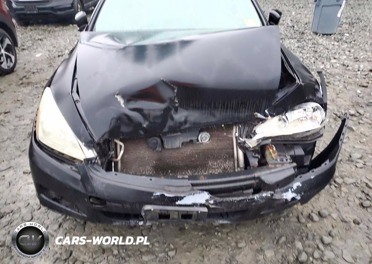 2007 Honda Accord Se VIN:1HGCM55397A062696 - 11