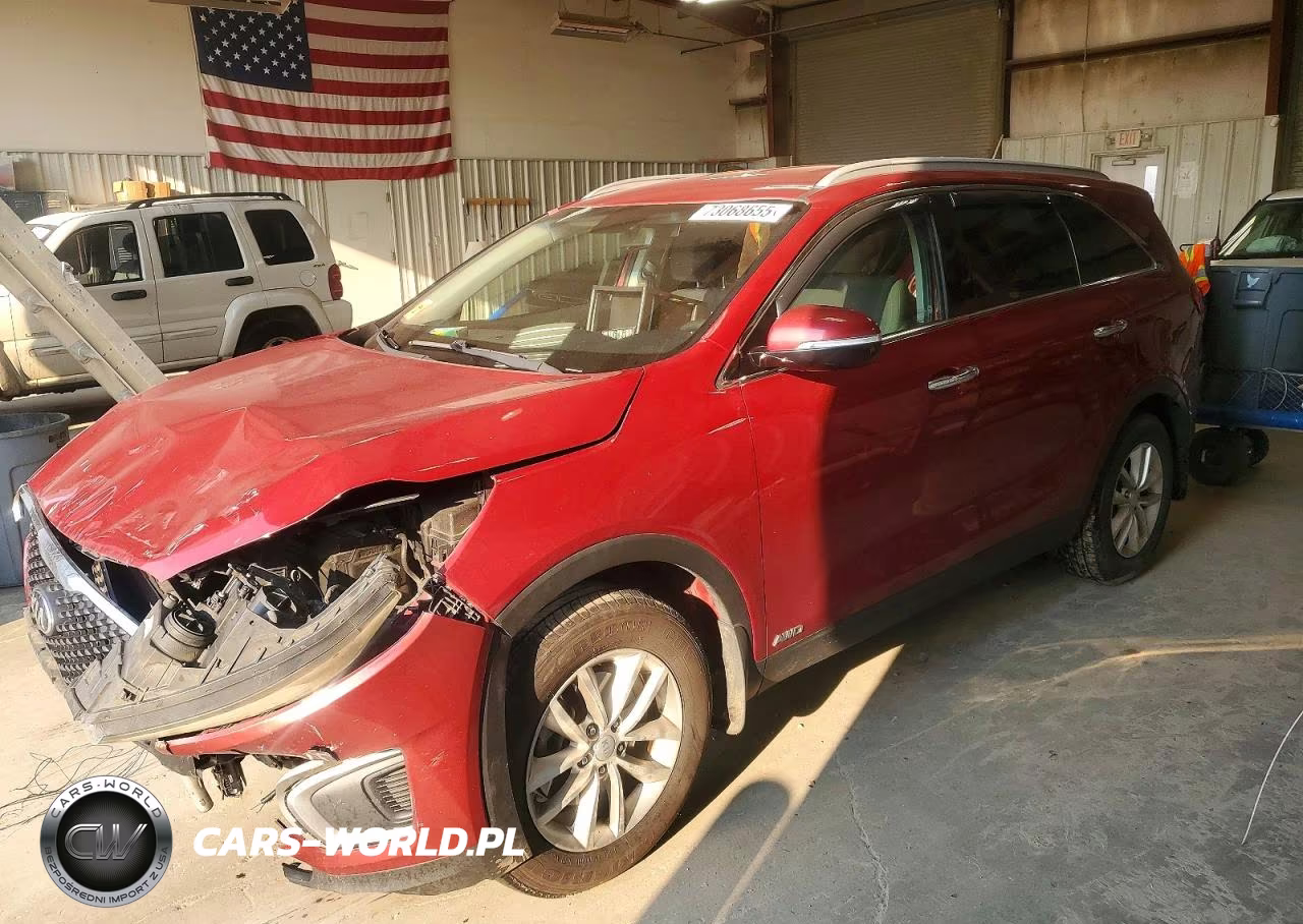 2017 Kia Sorento Lx VIN:5XYPGDA34HG263494 - 1