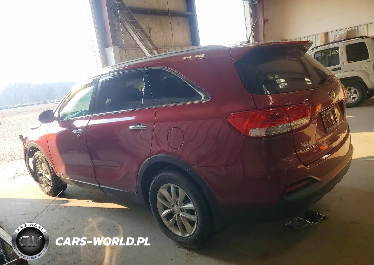 2017 Kia Sorento Lx VIN:5XYPGDA34HG263494 - 2