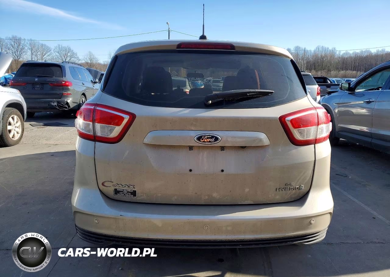 2018 Ford C-Max Se VIN:1FADP5AU5JL100905 - 6