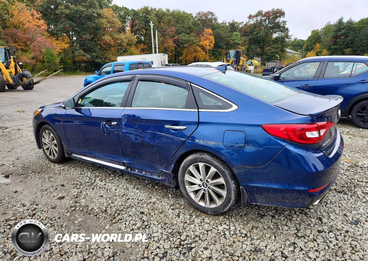 2015 Hyundai Sonata Sport VIN:5NPE34AF8FH083521 - 2