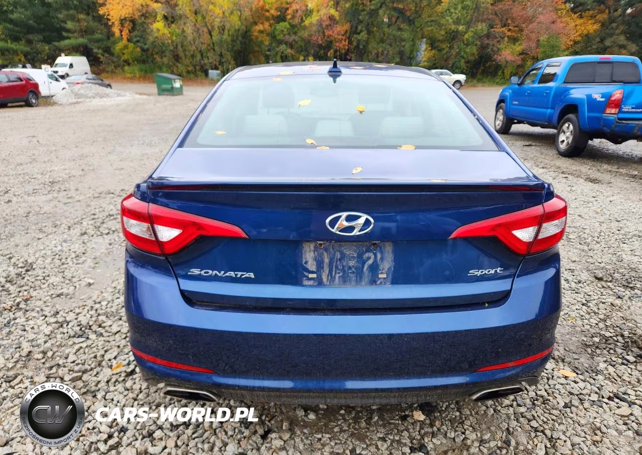 2015 Hyundai Sonata Sport VIN:5NPE34AF8FH083521 - 6