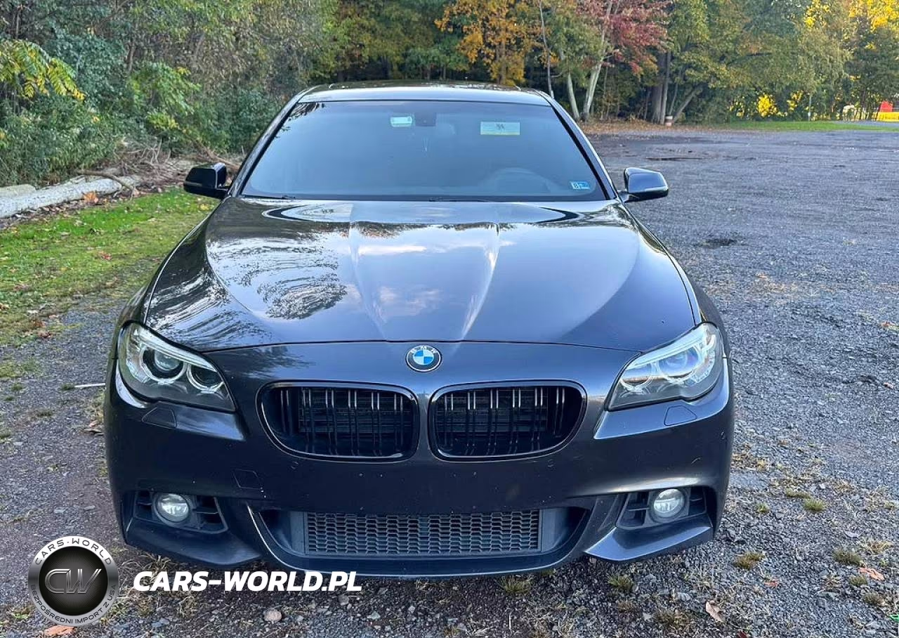 2014 BMW 535 D VIN:WBAXA5C57ED001515 - 6