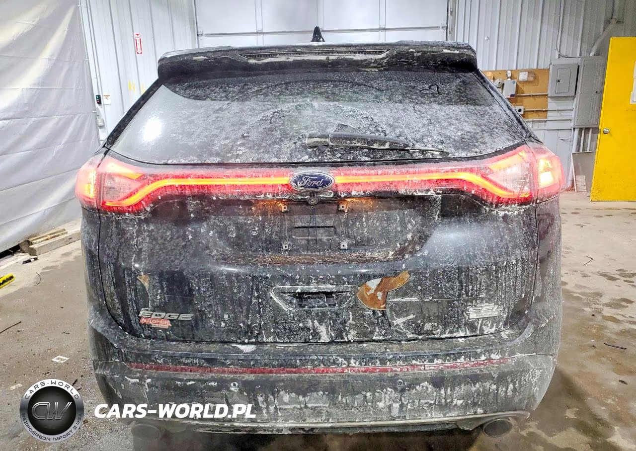 2017 Ford Edge Sel VIN:2FMPK4J90HBB81183 - 6