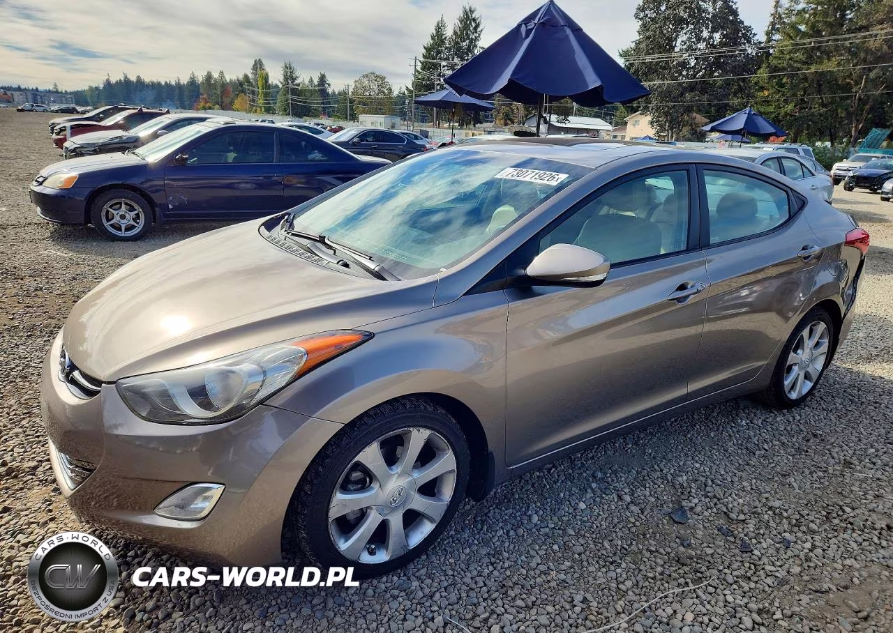2013 Hyundai Elantra Limited VIN:5NPDH4AEXDH397267 - 1