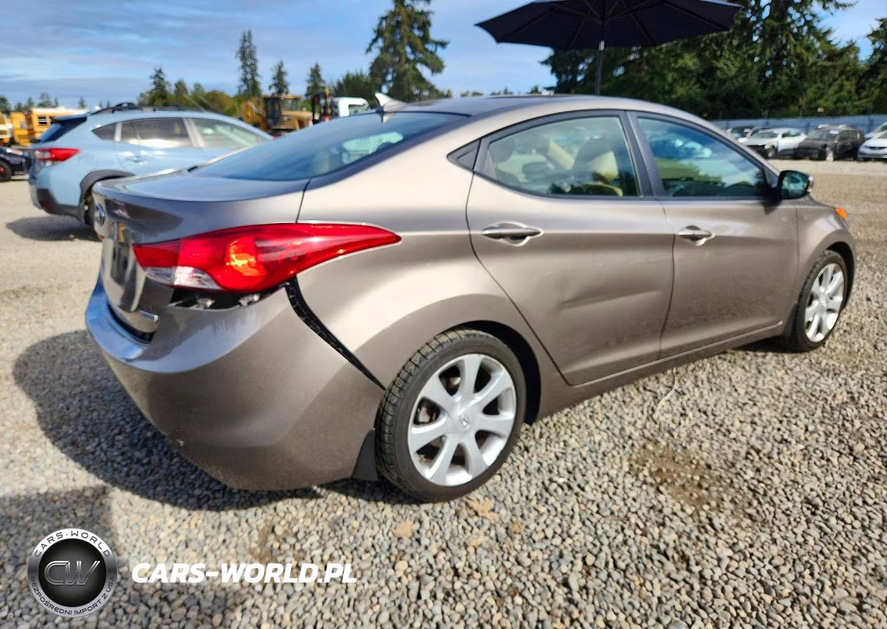 2013 Hyundai Elantra Limited VIN:5NPDH4AEXDH397267 - 3