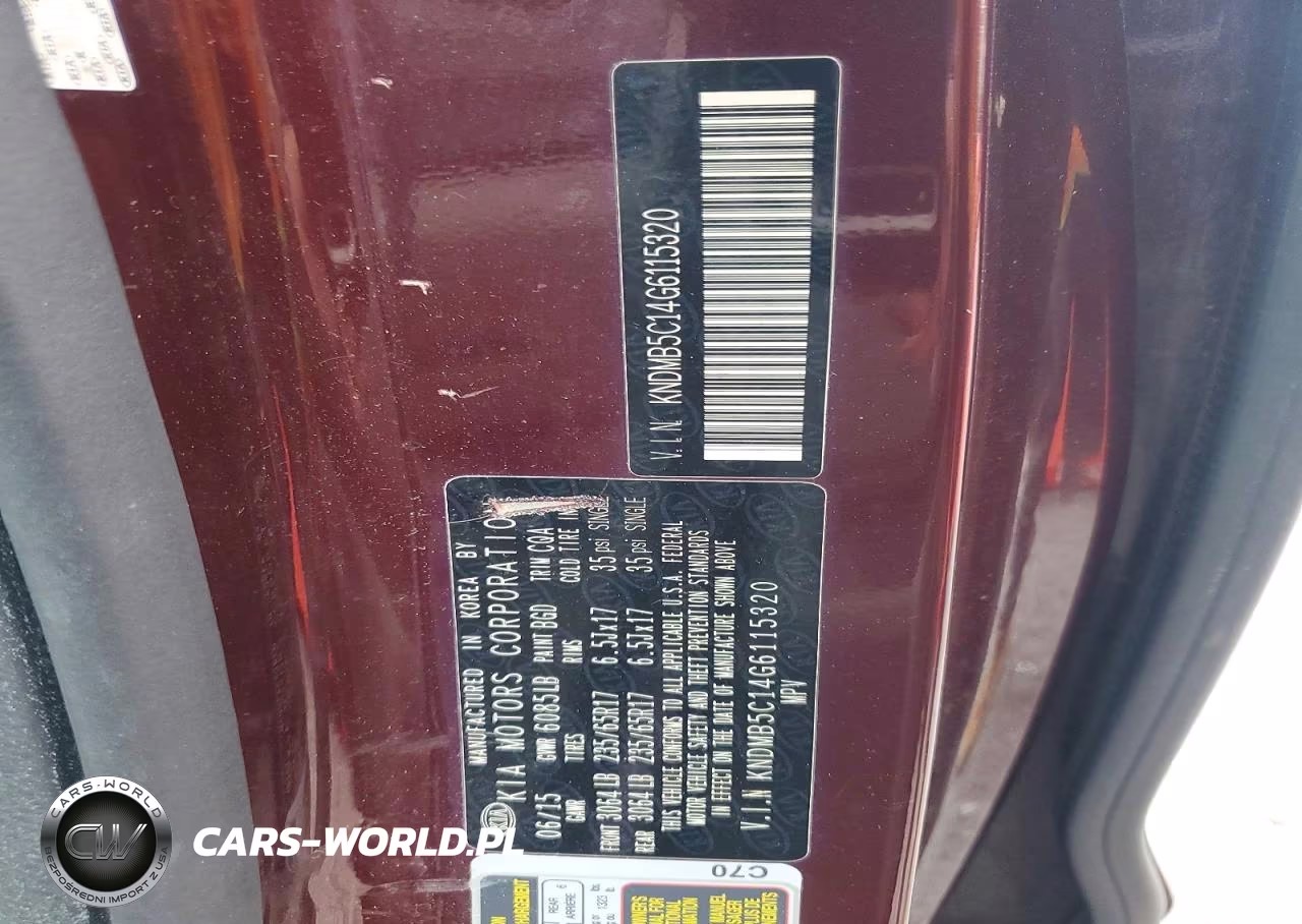 2016 Kia Sedona Lx VIN:KNDMB5C14G6115320 - 13
