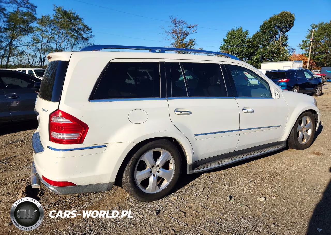 2010 Mercedes-Benz Gl-Class VIN:4JGBF7BE3AA608482 - 3