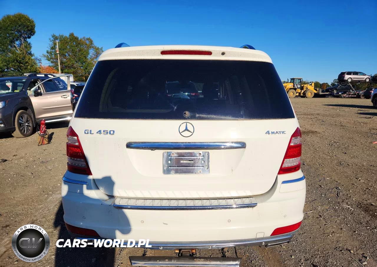 2010 Mercedes-Benz Gl-Class VIN:4JGBF7BE3AA608482 - 6