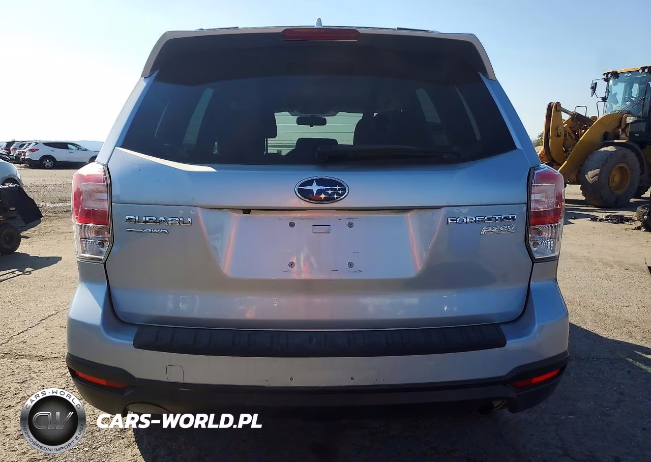 2017 Subaru Forester 2.5I Premium VIN:JF2SJAEC0HH578130 - 6