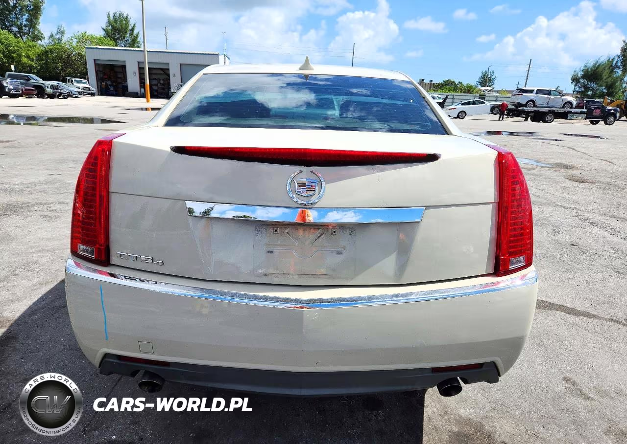 2010 Cadillac Cts Luxury Collection VIN:1G6DH5EG4A0139890 - 6