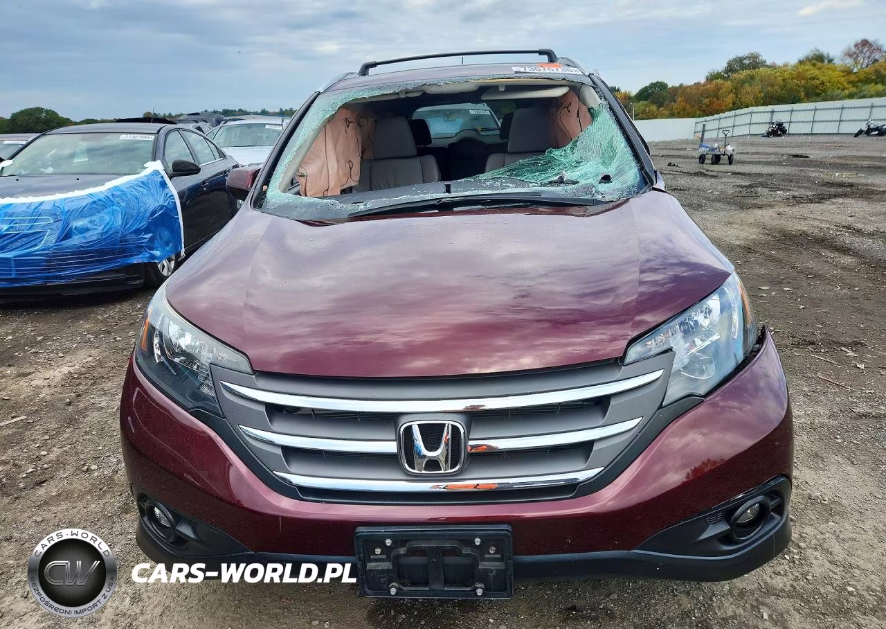 2014 Honda Cr-V Exl VIN:5J6RM4H78EL117717 - 5