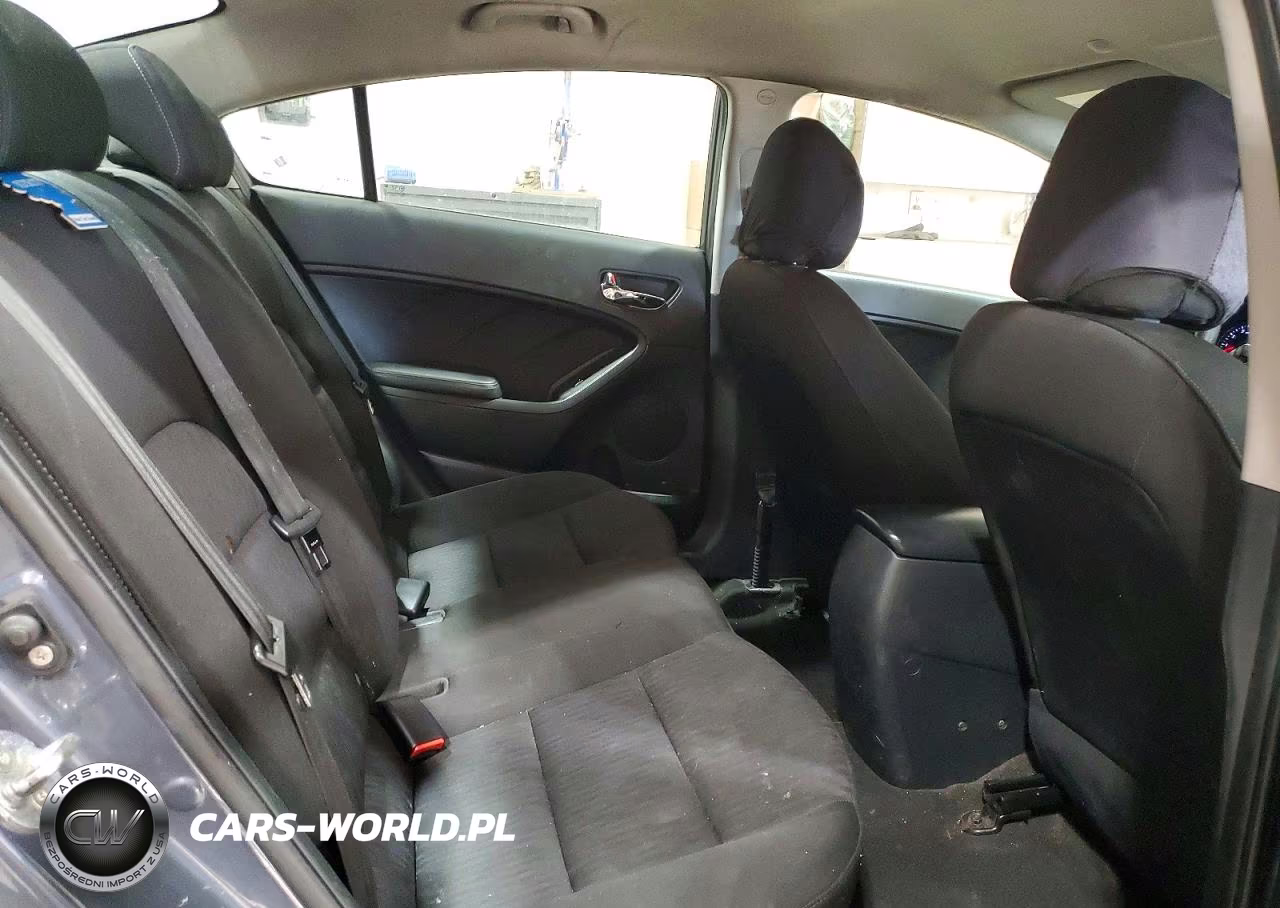 2016 Kia Forte Lx VIN:KNAFK4A65G5503919 - 10