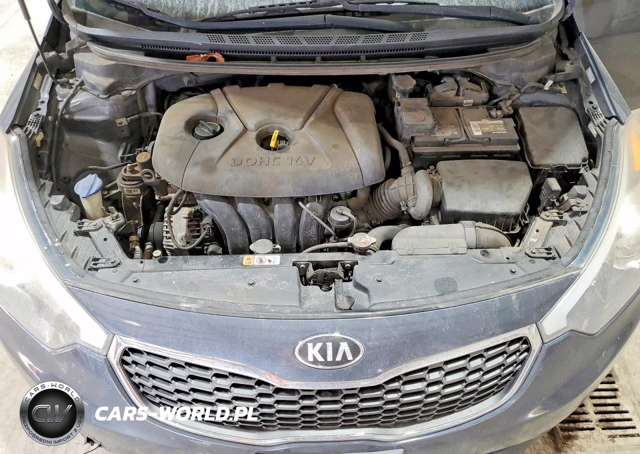 2016 Kia Forte Lx VIN:KNAFK4A65G5503919 - 11