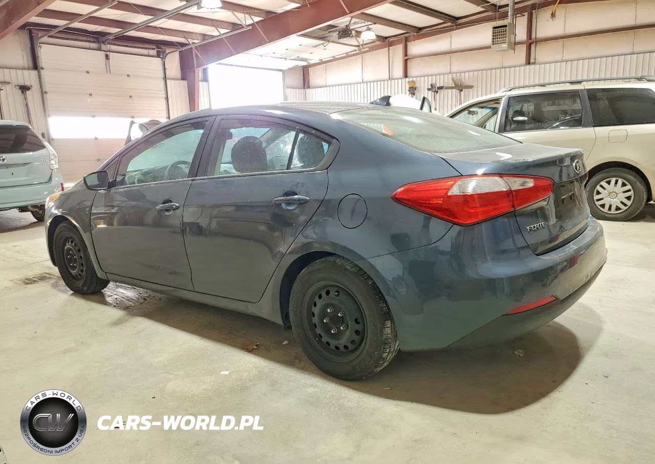 2016 Kia Forte Lx VIN:KNAFK4A65G5503919 - 2