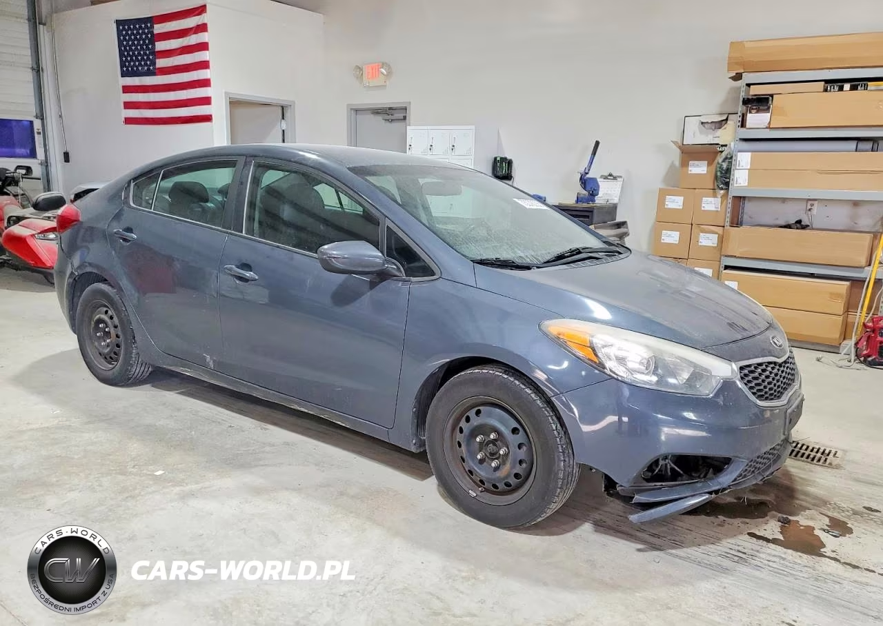 2016 Kia Forte Lx VIN:KNAFK4A65G5503919 - 4