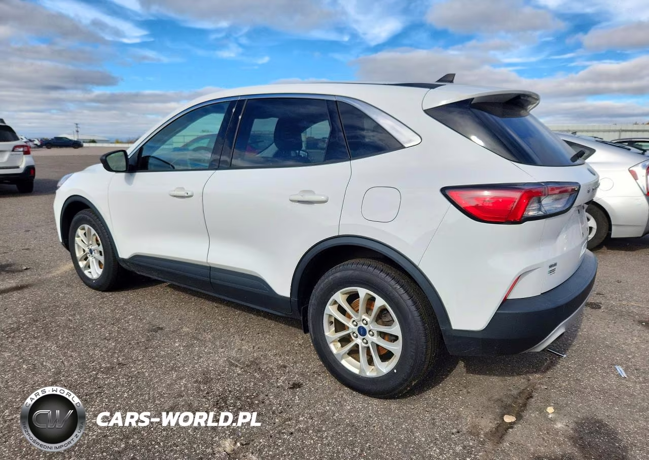 2022 Ford Escape Se VIN:1FMCU9G61NUA66231 - 2