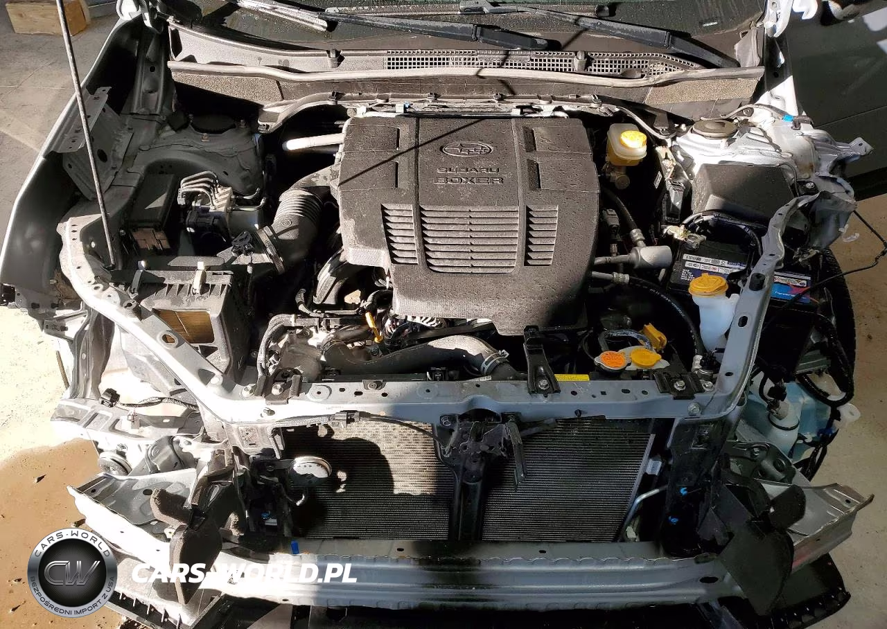 2019 Subaru Forester Limited VIN:JF2SKAUC4KH454464 - 12
