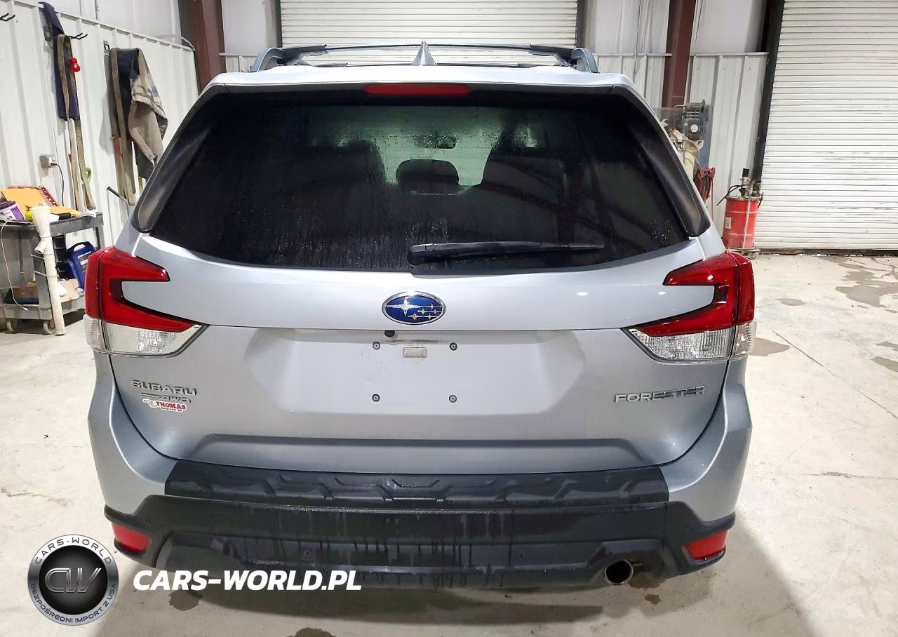 2019 Subaru Forester Limited VIN:JF2SKAUC4KH454464 - 6