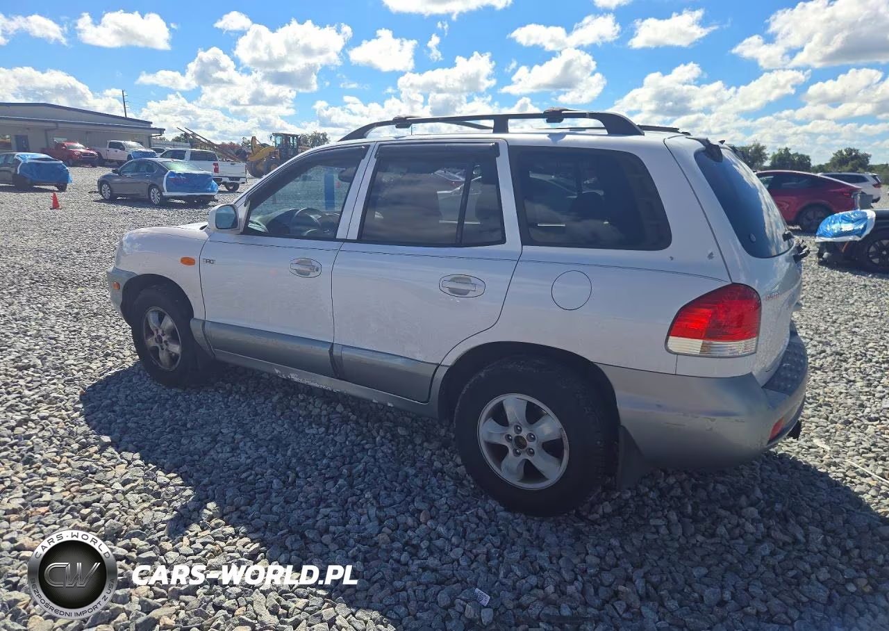 2005 Hyundai Santa Fe Gls VIN:KM8SC13D65U956082 - 2