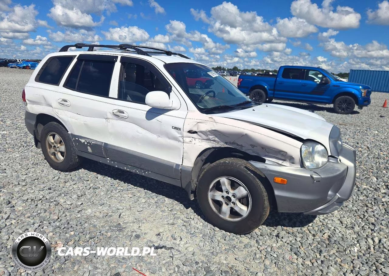 2005 Hyundai Santa Fe Gls VIN:KM8SC13D65U956082 - 4