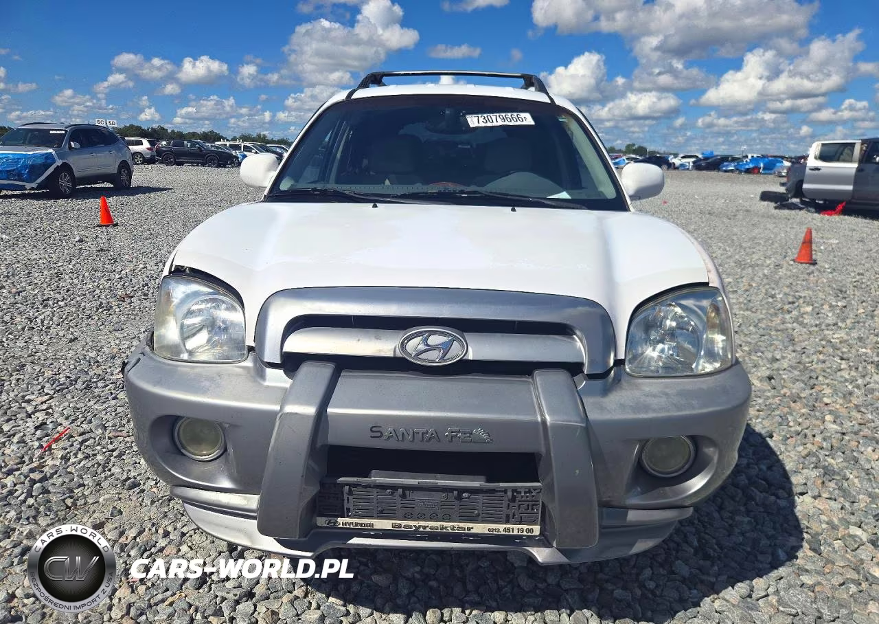2005 Hyundai Santa Fe Gls VIN:KM8SC13D65U956082 - 5
