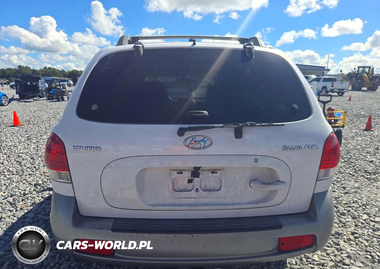 2005 Hyundai Santa Fe Gls VIN:KM8SC13D65U956082 - 6