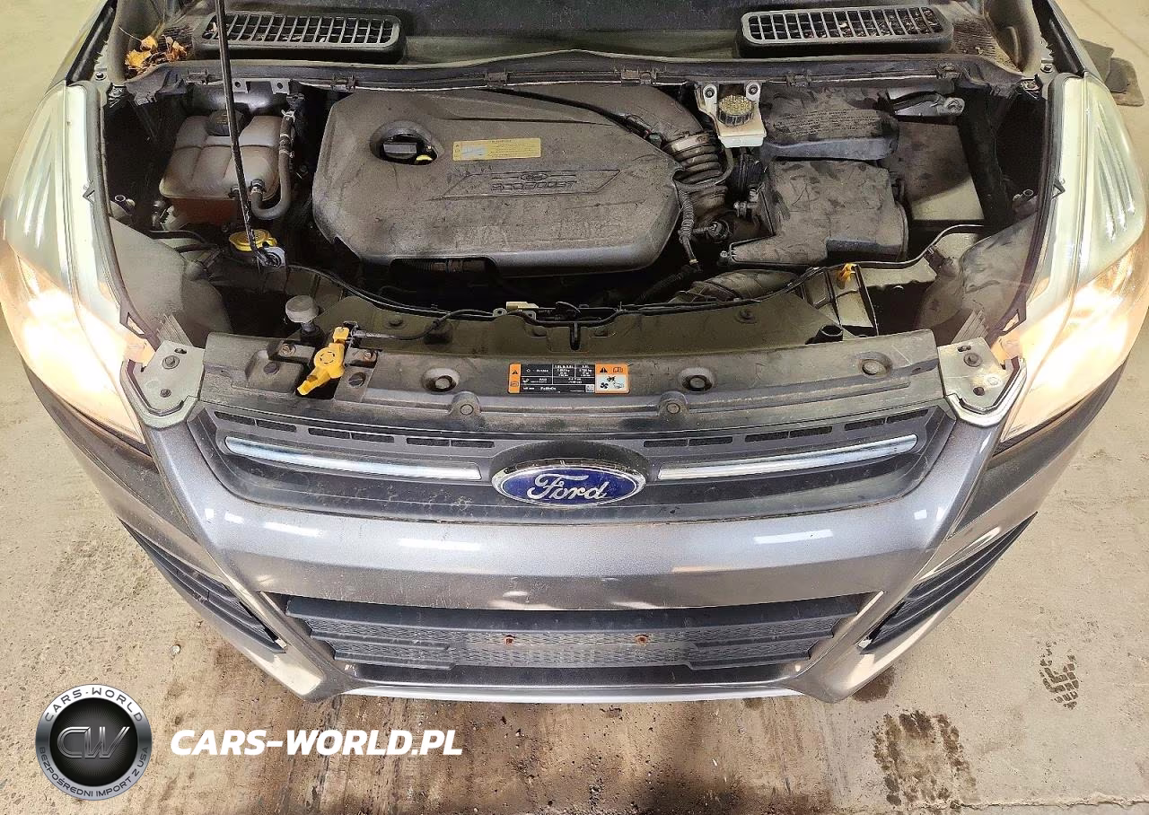 2014 Ford Escape Se VIN:1FMCU9GX1EUB68069 - 12
