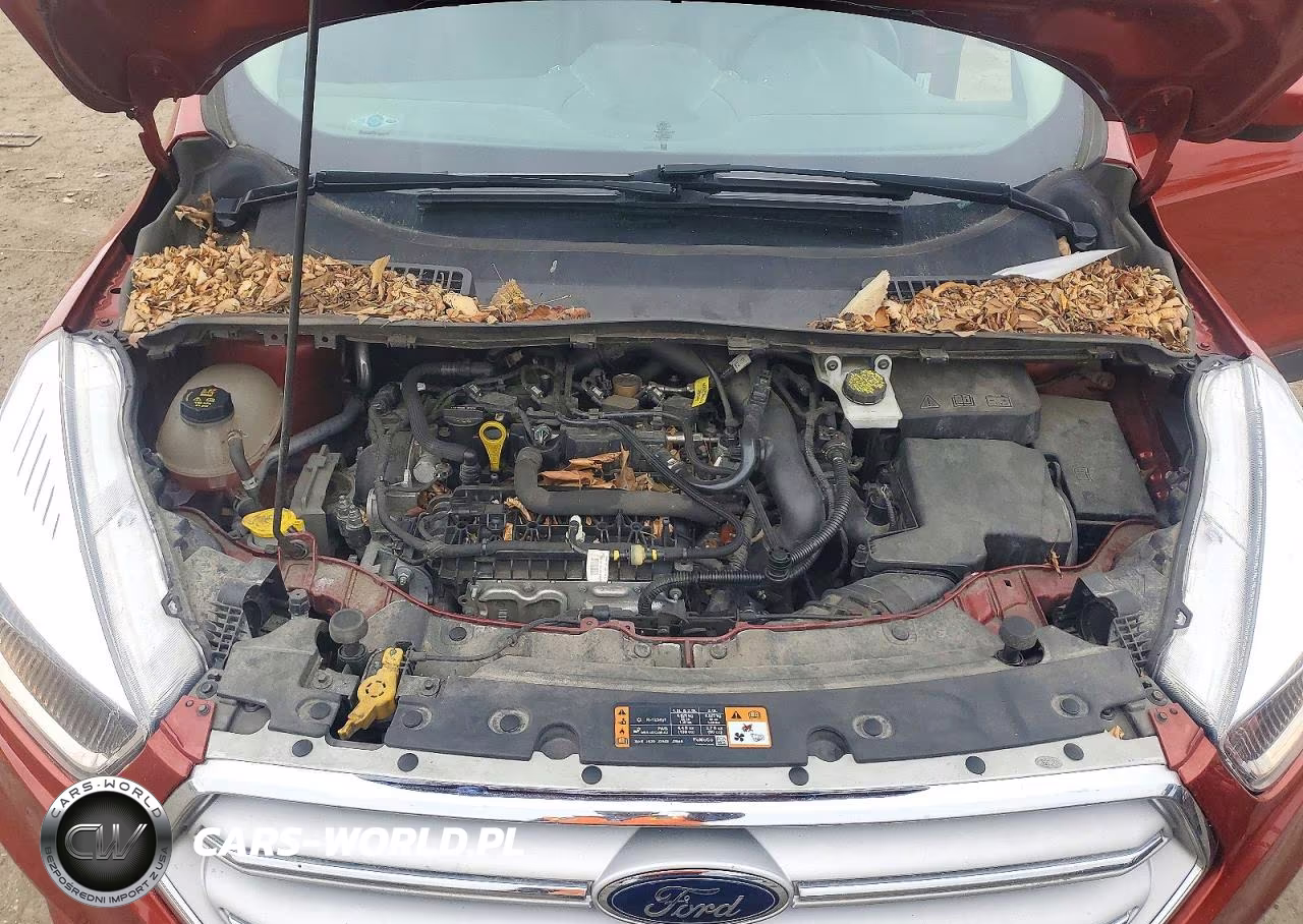 2019 Ford Escape Se VIN:1FMCU0GD2KUA16380 - 12