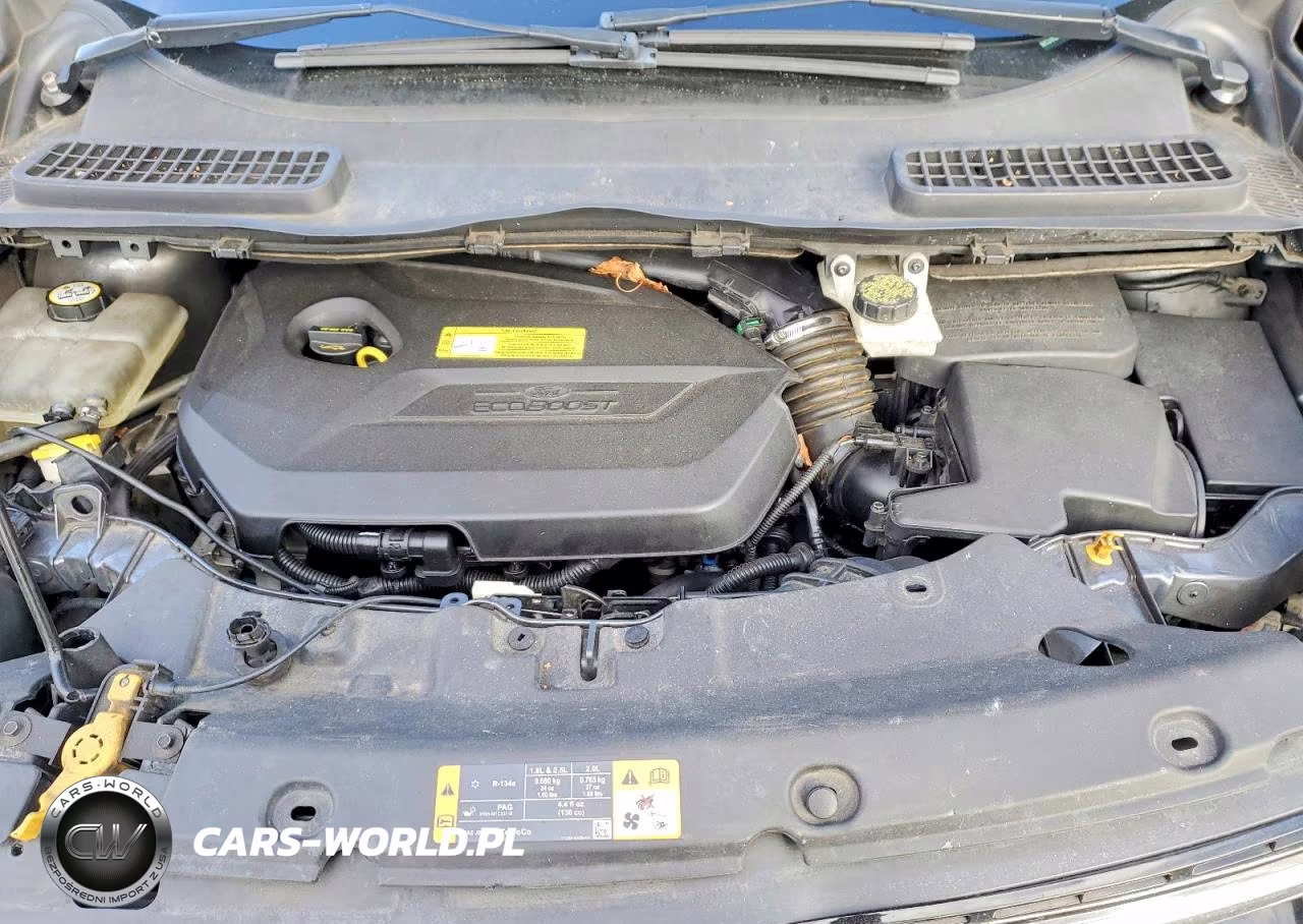 2013 Ford Escape Se VIN:1FMCU9GX1DUC52536 - 12