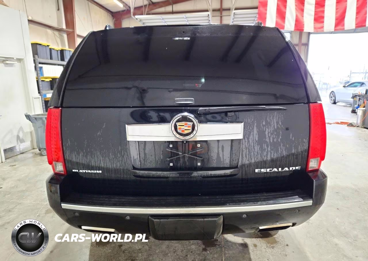 2014 Cadillac Escalade Esv Platinum VIN:1GYS4KEF4ER201421 - 6