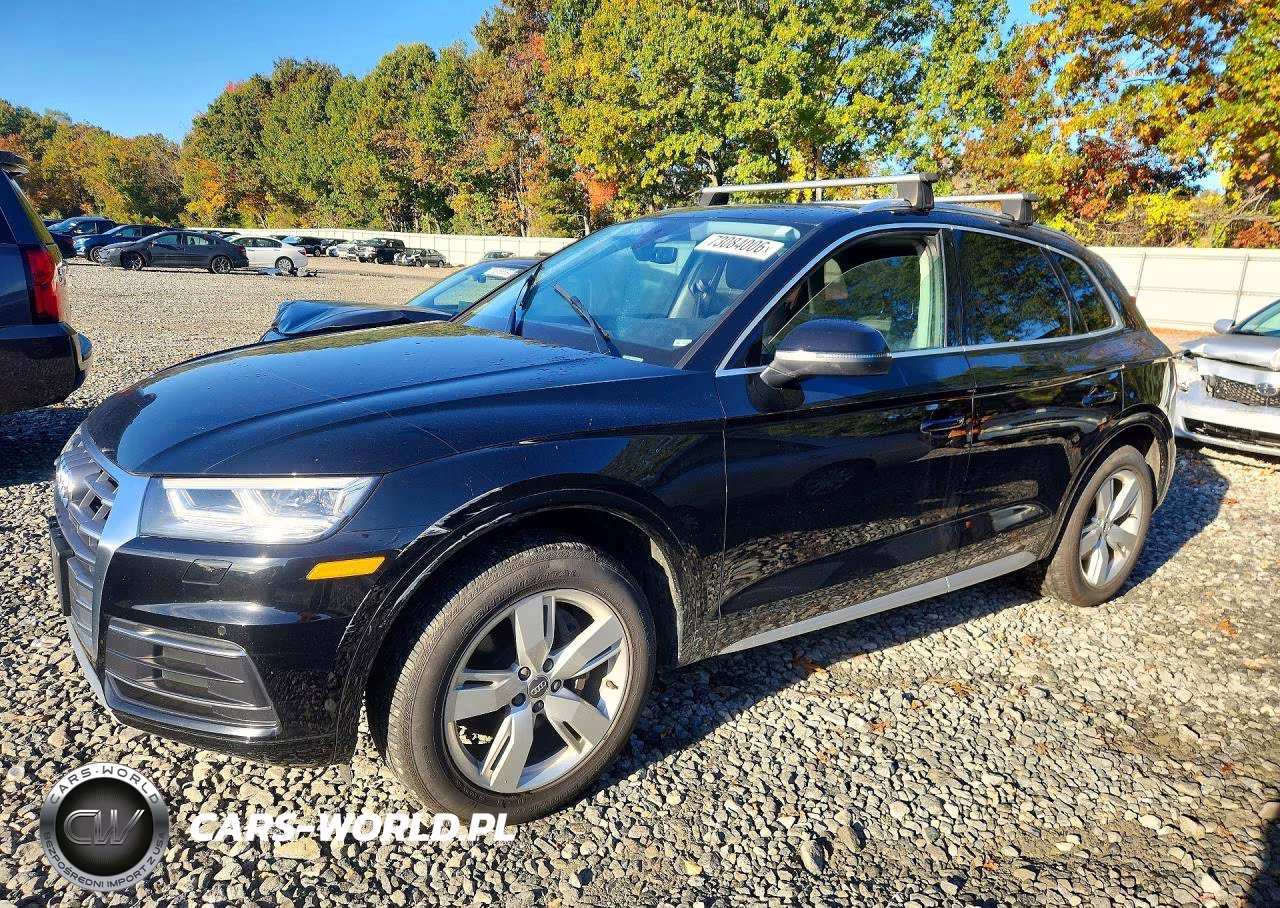 2019 Audi Q5 Premium Plus VIN:WA1BNAFY5K2064923 - 1