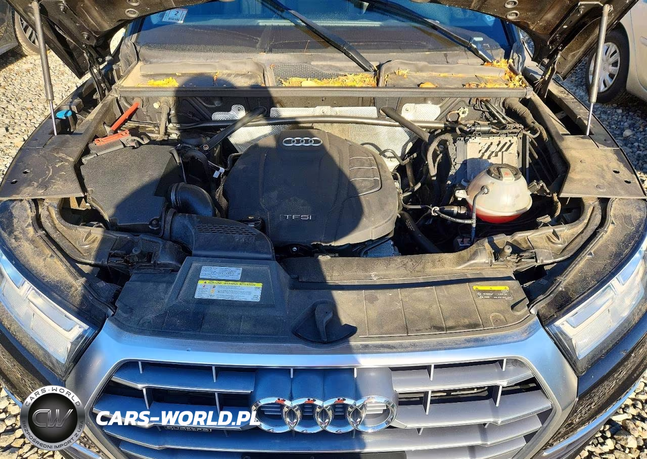 2019 Audi Q5 Premium Plus VIN:WA1BNAFY5K2064923 - 12