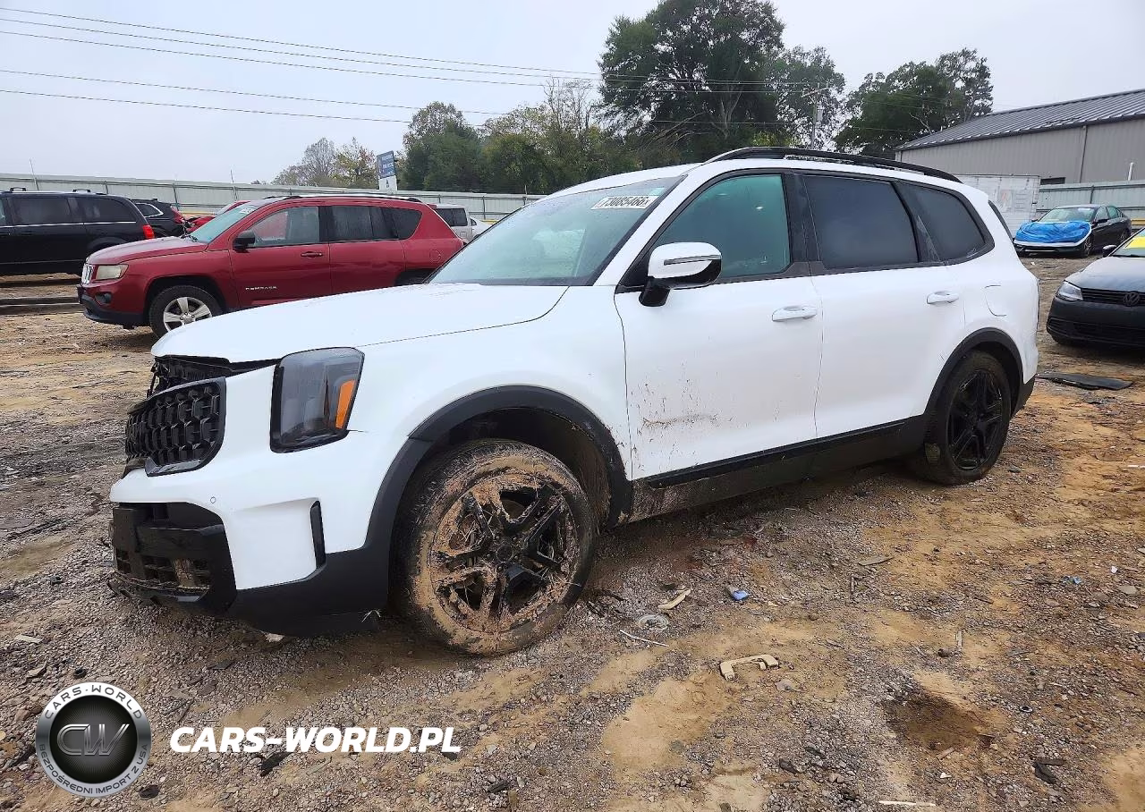 2025 Kia Telluride Sx-Prestige X-Line VIN:5XYP5DGC6SG614782 - 1