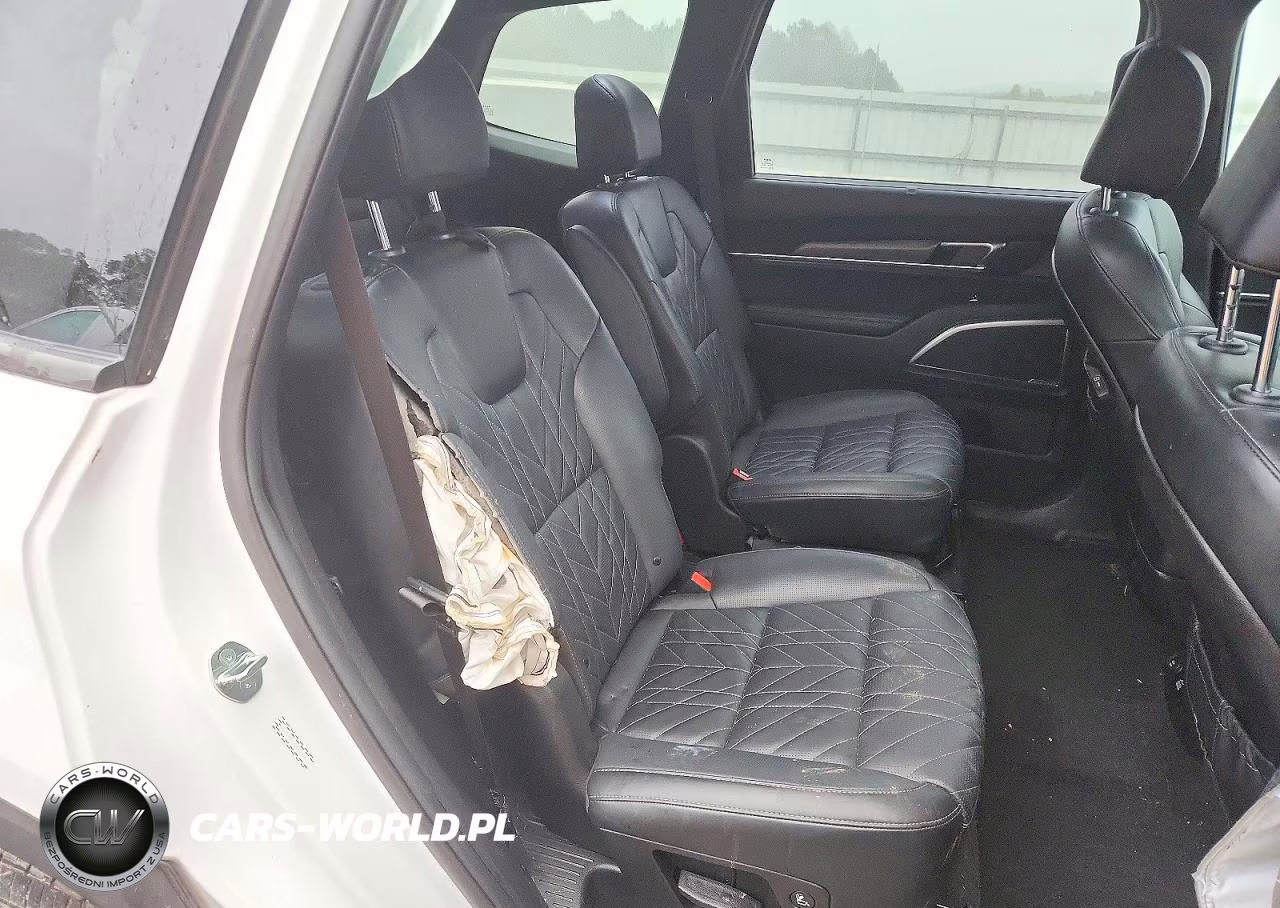 2025 Kia Telluride Sx-Prestige X-Line VIN:5XYP5DGC6SG614782 - 11