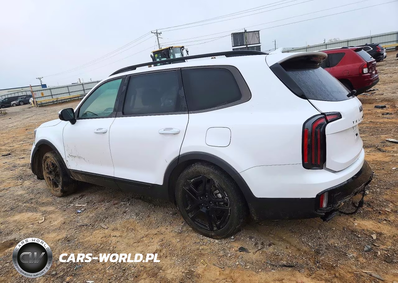 2025 Kia Telluride Sx-Prestige X-Line VIN:5XYP5DGC6SG614782 - 2