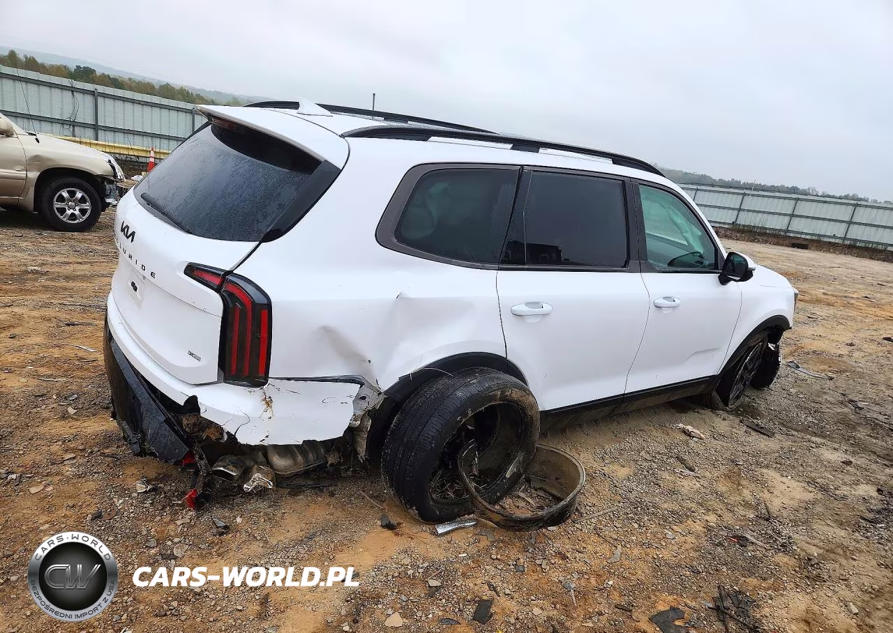 2025 Kia Telluride Sx-Prestige X-Line VIN:5XYP5DGC6SG614782 - 3
