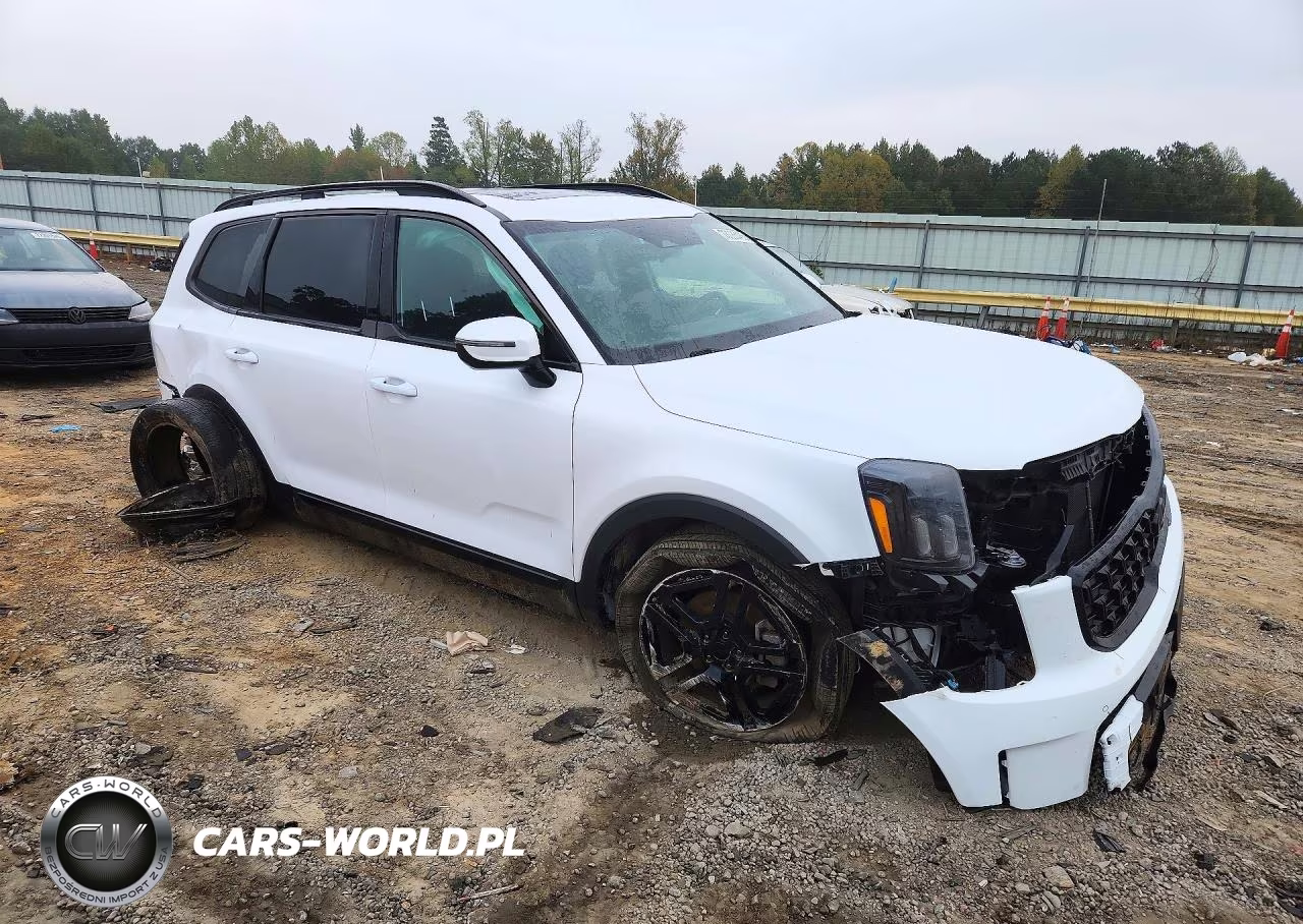 2025 Kia Telluride Sx-Prestige X-Line VIN:5XYP5DGC6SG614782 - 4