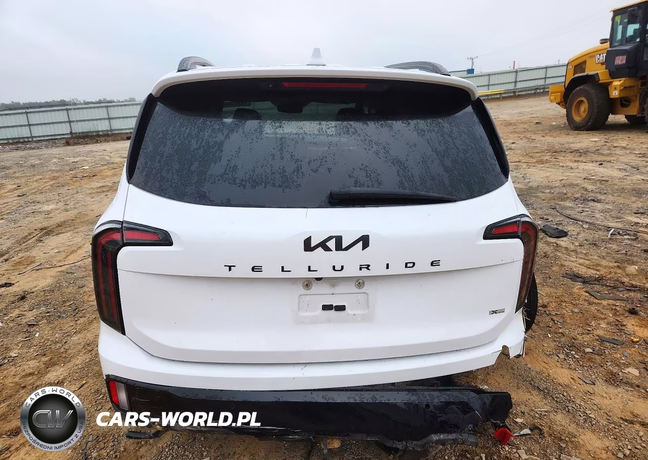 2025 Kia Telluride Sx-Prestige X-Line VIN:5XYP5DGC6SG614782 - 6