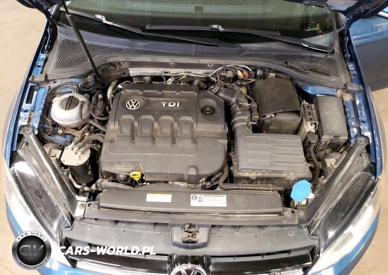 2015 Volkswagen Golf Sportwagen Tdi S VIN:3VWCA7AU1FM503009 - 11