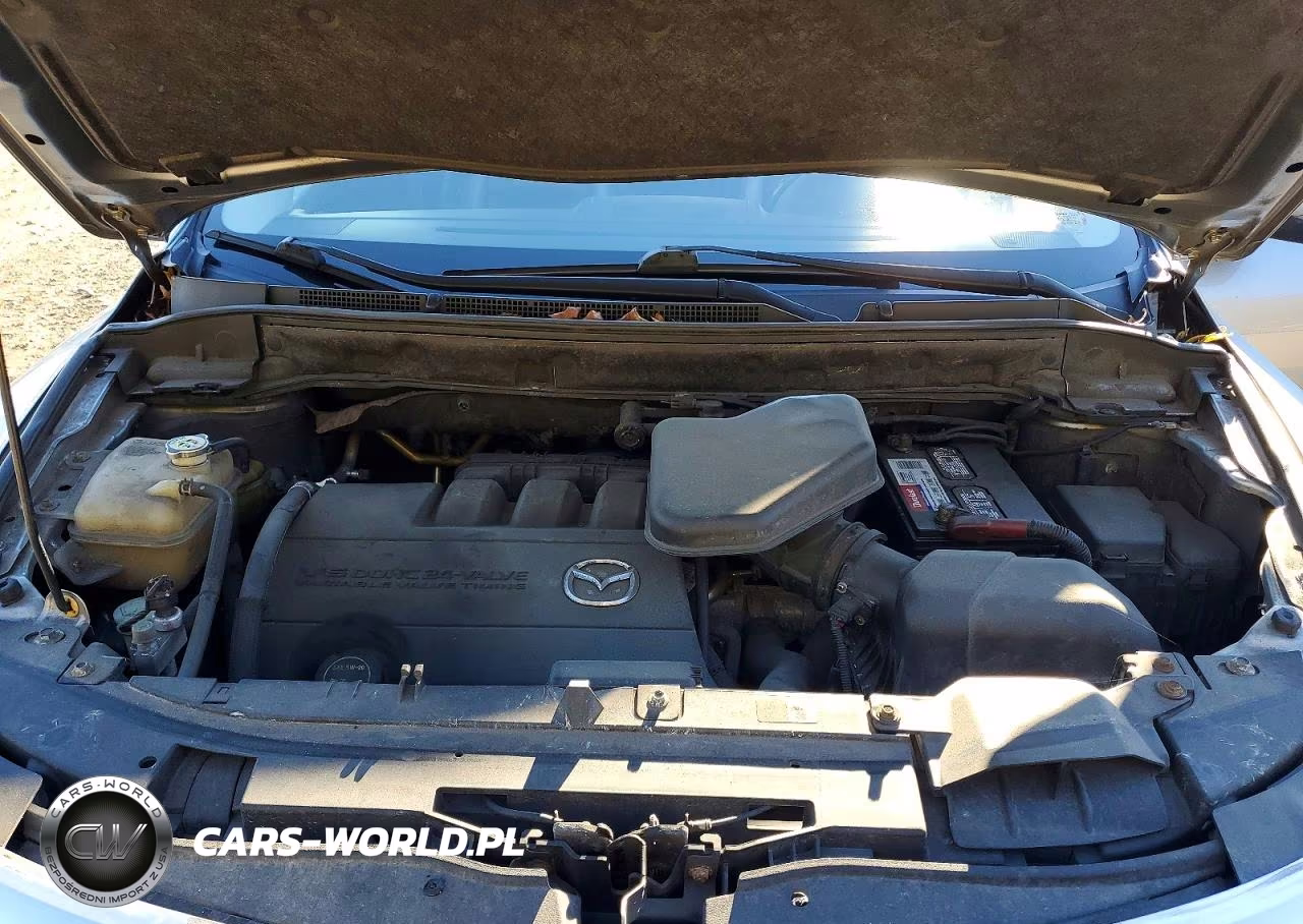 2011 Mazda Cx-9 VIN:JM3TB3DVXB0324274 - 12