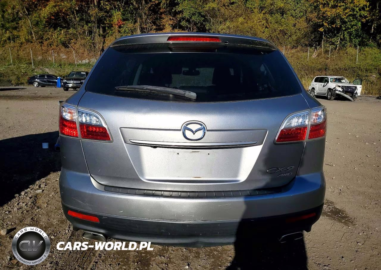 2011 Mazda Cx-9 VIN:JM3TB3DVXB0324274 - 6