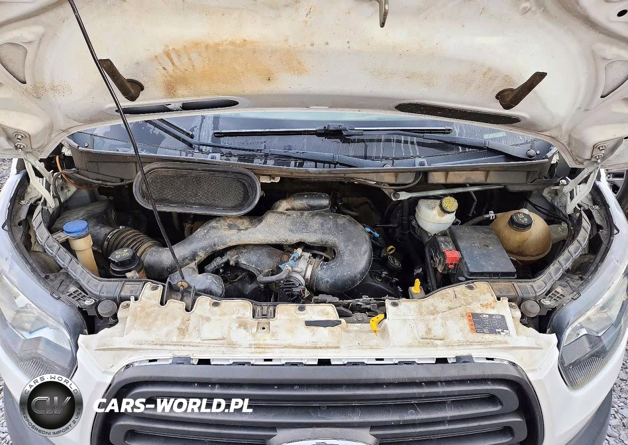 2019 Ford Transit T-250 VIN:1FTYR2XM7KKA27541 - 11