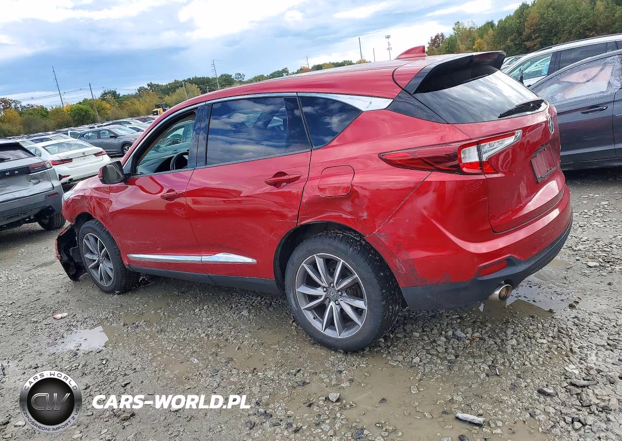 2019 Acura Rdx Technology VIN:5J8TC2H55KL005567 - 2